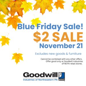 Graphic with yellow and orange leaves promoting Blue Friday sale on November 21, 2025.